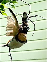 images - 2024-10-11T093211.260.webp