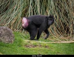 images (3).webp