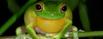 imagesnhaygd.webp