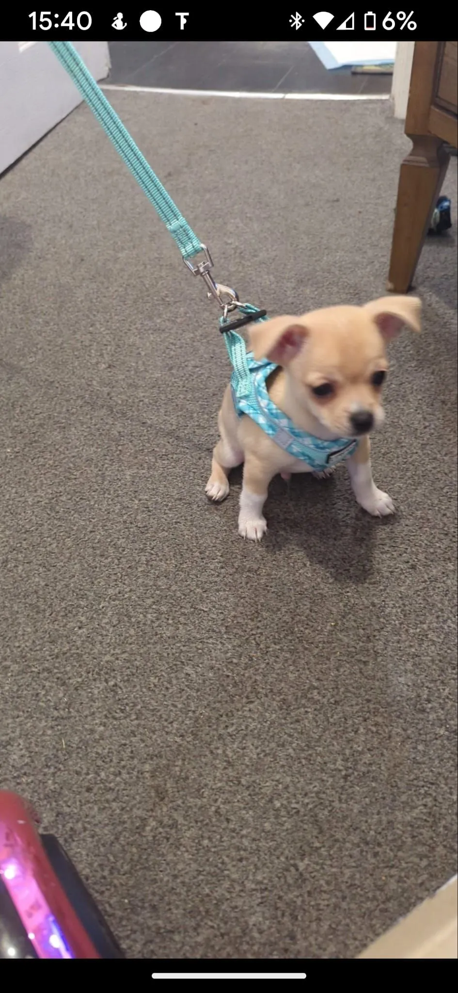 IMG-20230202-WA0000.webp