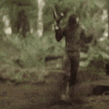 IMG_0056.gif