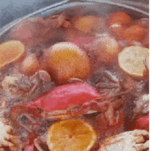 IMG_0083.gif