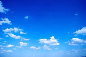 IMG_0154.webp