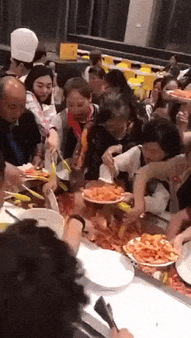 IMG_0231.gif