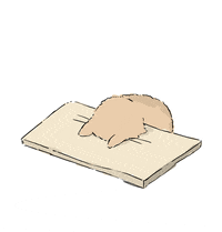 IMG_0248.gif
