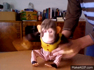 IMG_0371.gif