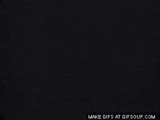 IMG_0423.gif