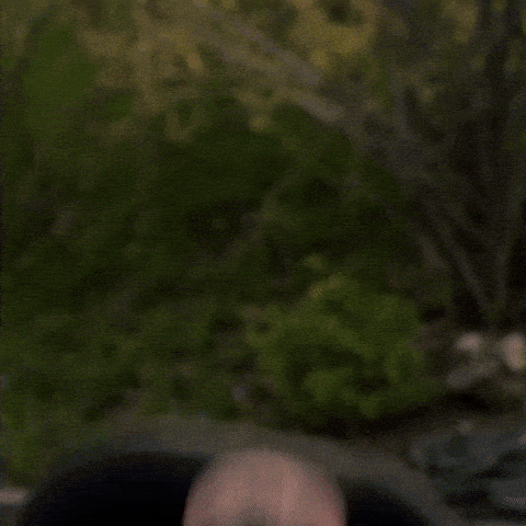 IMG_0527.gif