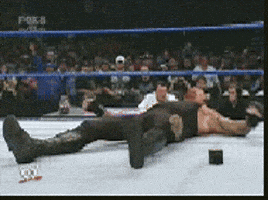 IMG_0798.gif