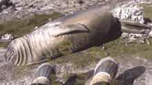 IMG_0847.gif