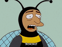 IMG_0970.gif