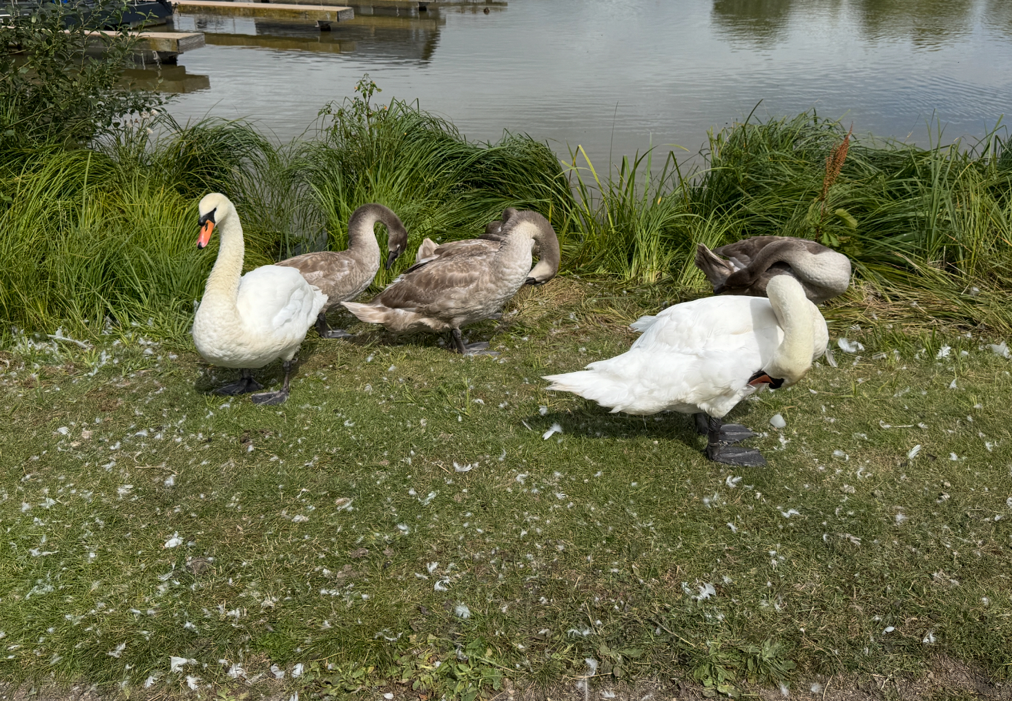 IMG_1042.webp