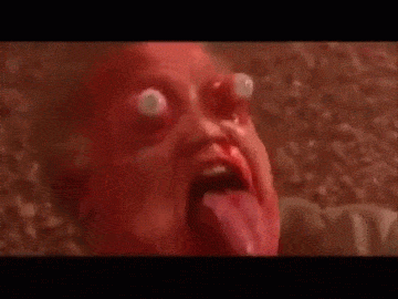 IMG_1155.gif