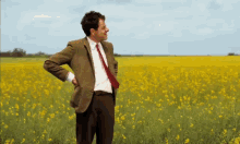 IMG_1295.gif