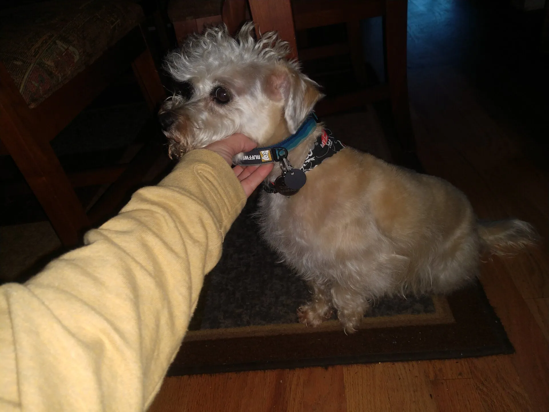 IMG_20190802_060122593.webp