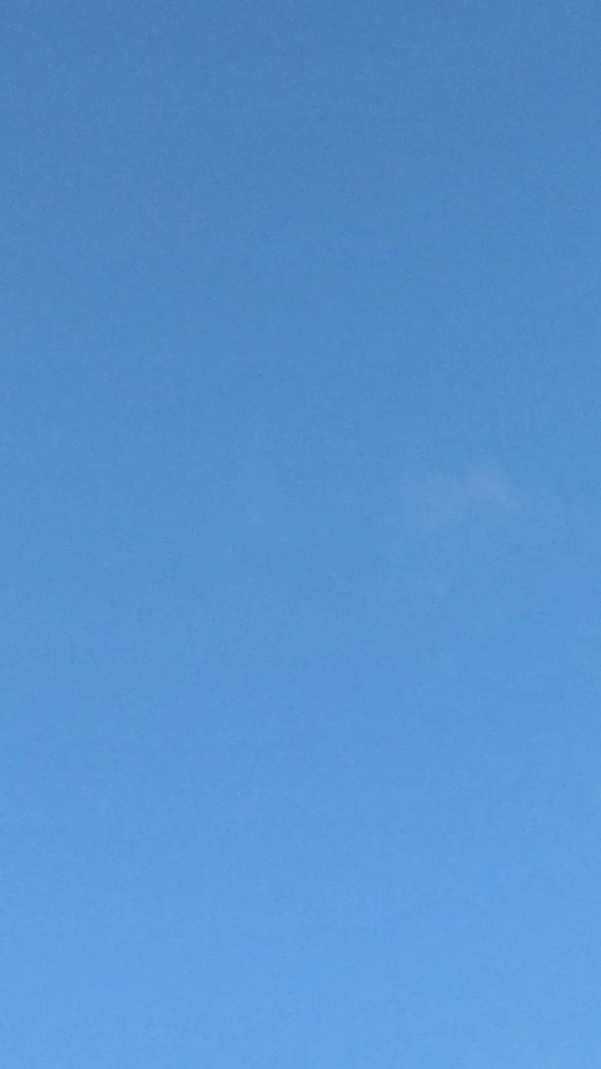 IMG_20191210_094008.webp