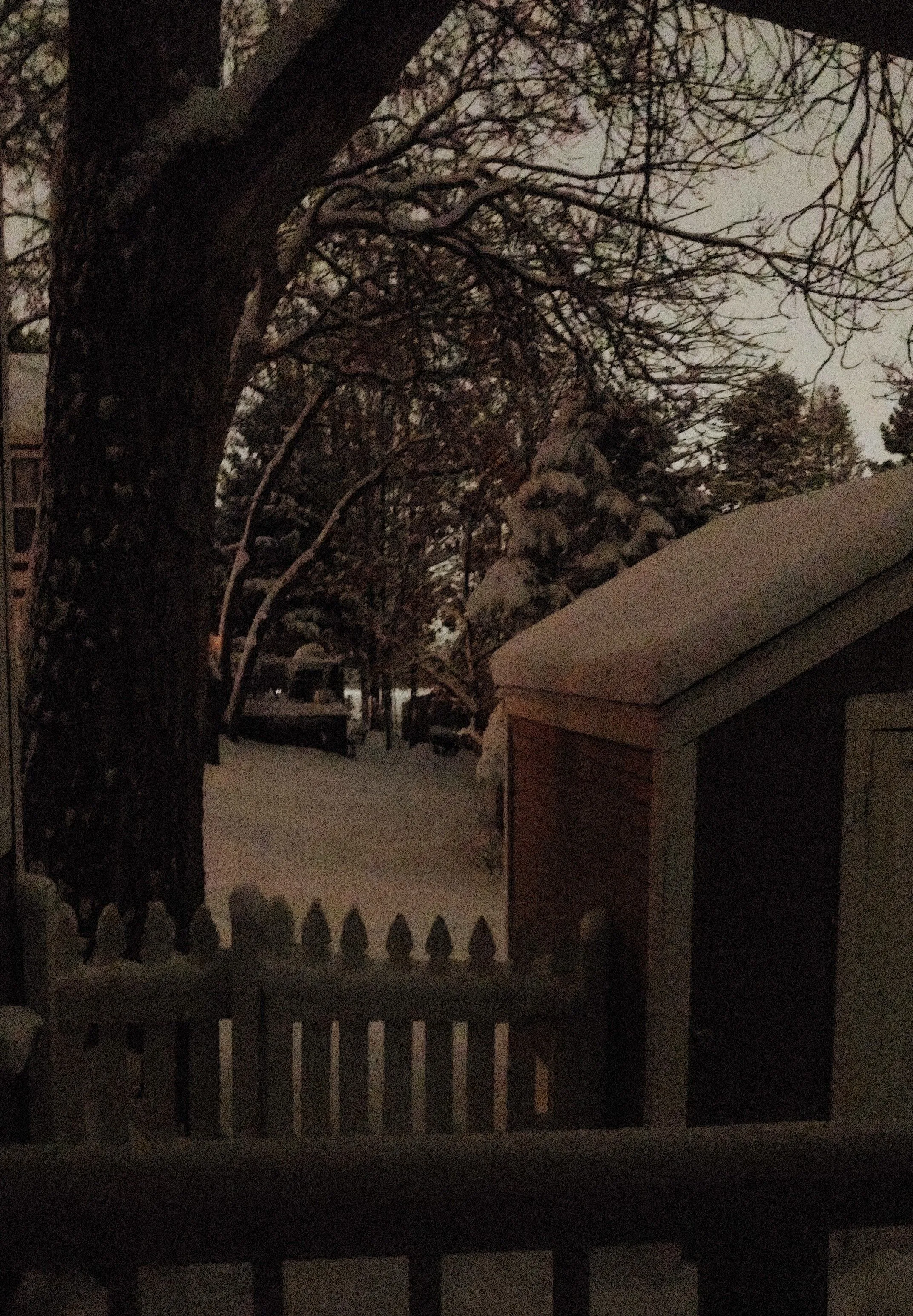 IMG_20210301_055224_596~2.webp