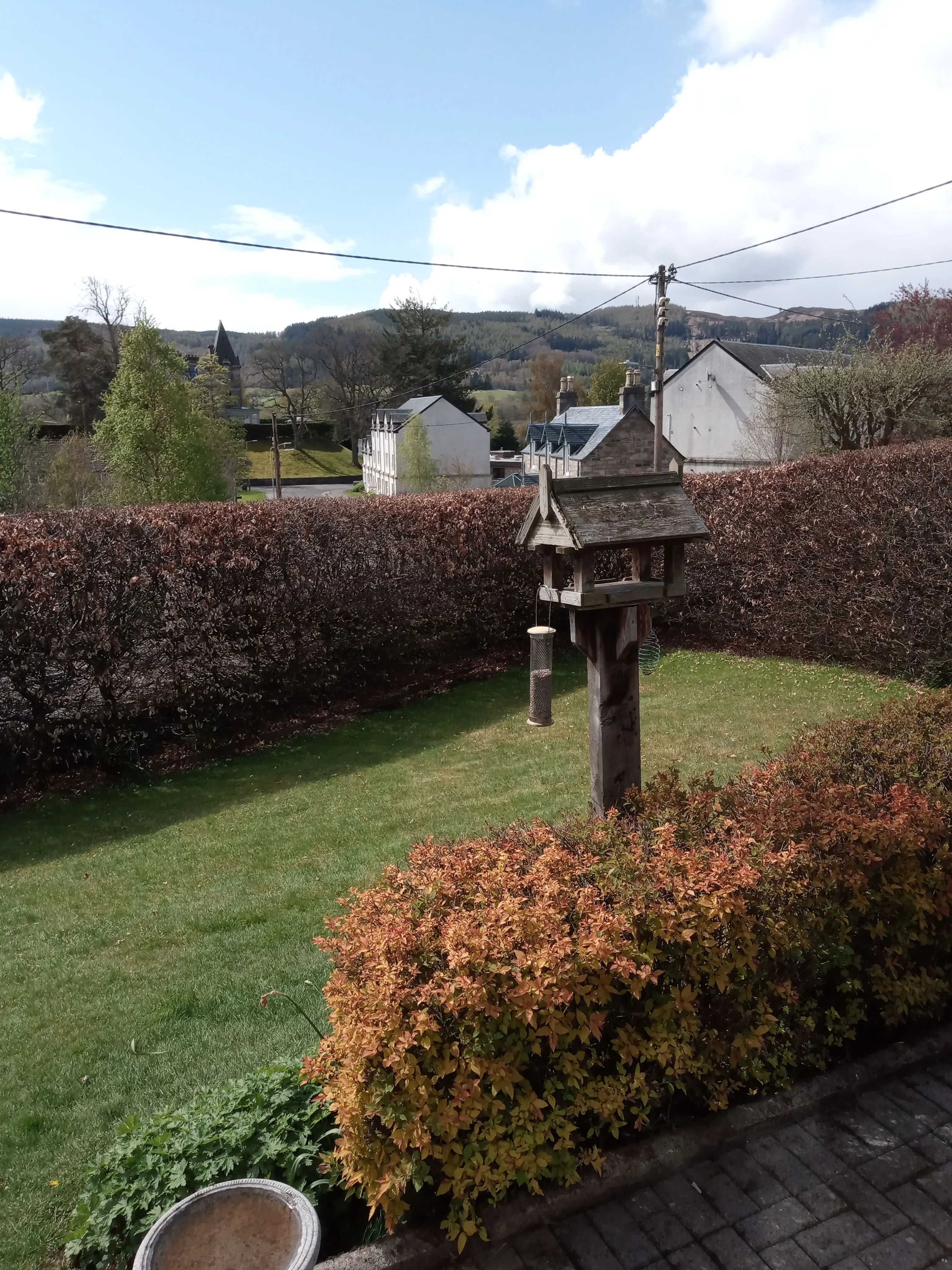 IMG_20210507_120240.webp