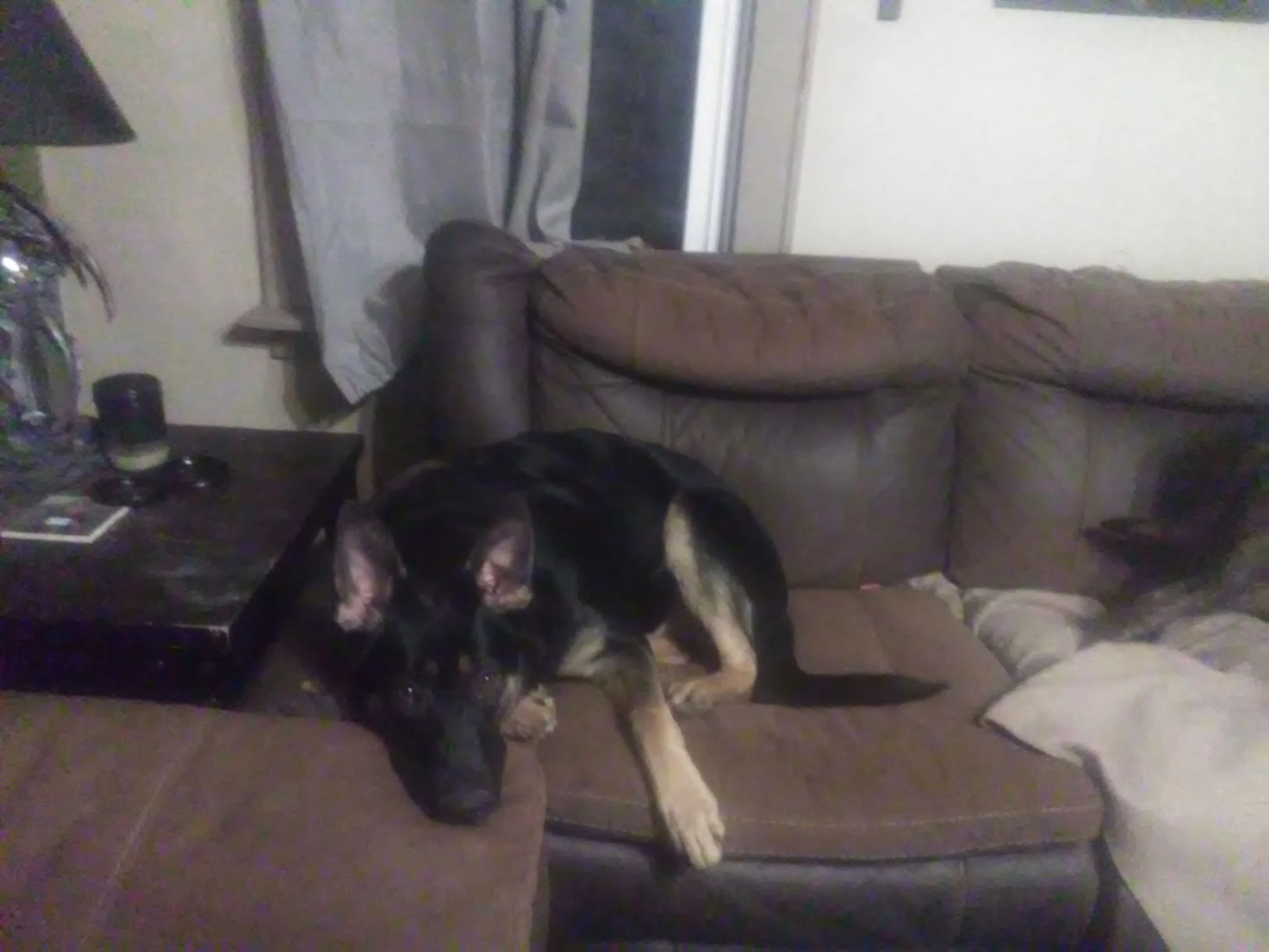 IMG_20230218_223430.webp
