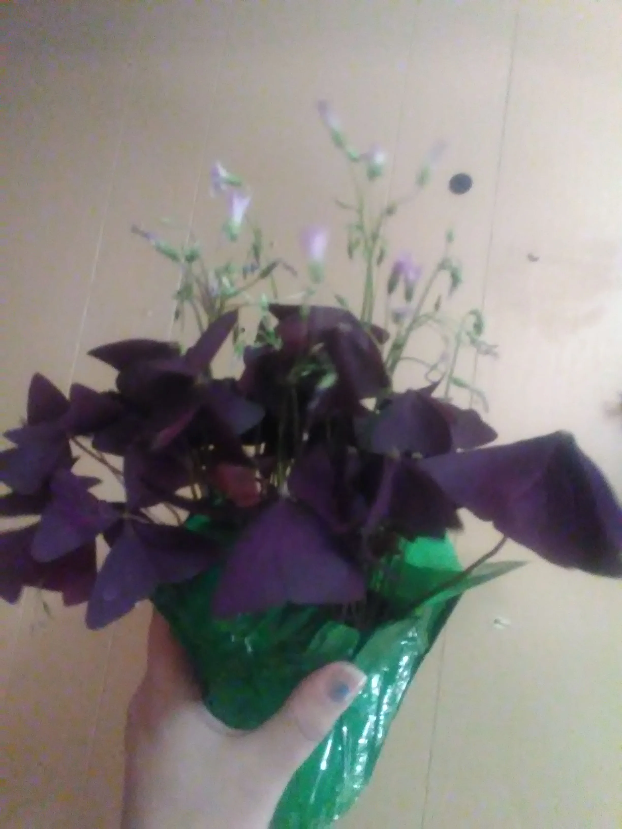 IMG_20230313_081851.webp