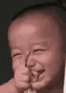 IMG_2493.gif