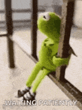 IMG_2537.gif