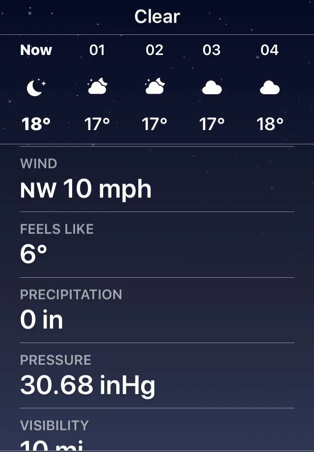 IMG_2618.webp