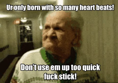 IMG_2713.gif