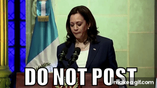 IMG_2734.gif