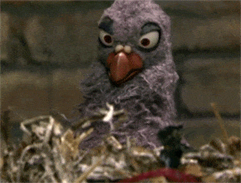 IMG_3087.gif
