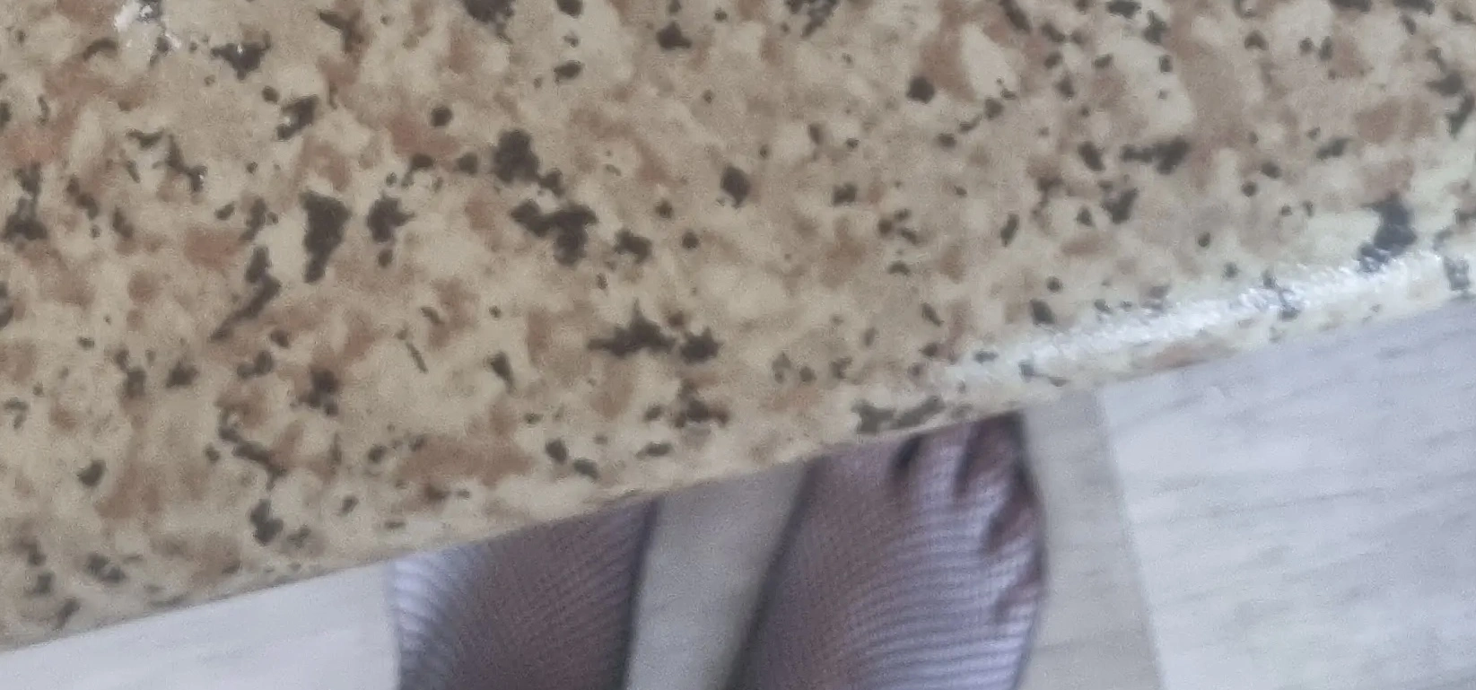 IMG_3391.webp