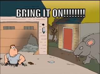 IMG_3463.gif