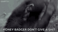 IMG_4269.gif