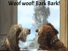 IMG_4444.gif