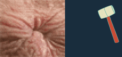 IMG_4463.gif