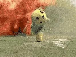 IMG_4720.gif