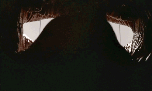 IMG_5106.gif