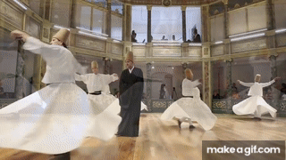 IMG_5116.gif