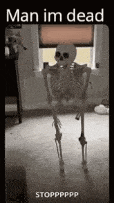 IMG_5179.gif