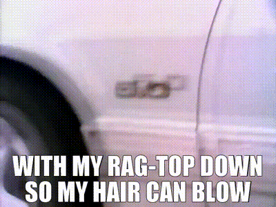 IMG_6455.gif