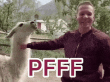 IMG_6889.gif