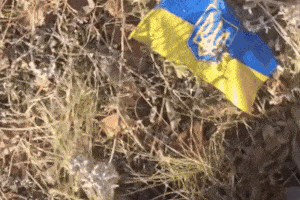 IMG_7238online-video-cutter.com-ezgif.com-resize.gif