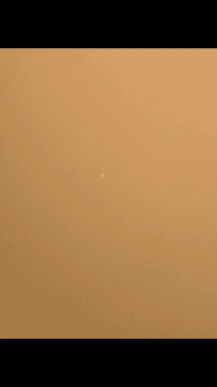IMG_7251.png
