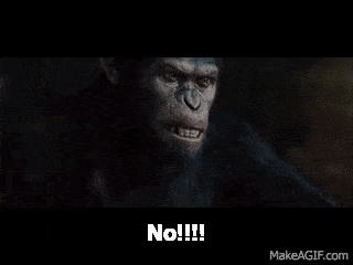 IMG_7271.gif