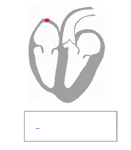 IMG_7391.gif