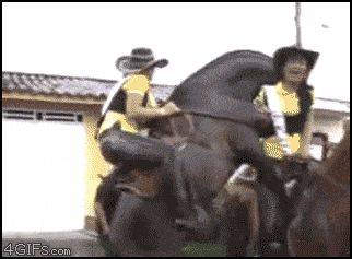 IMG_7546.gif