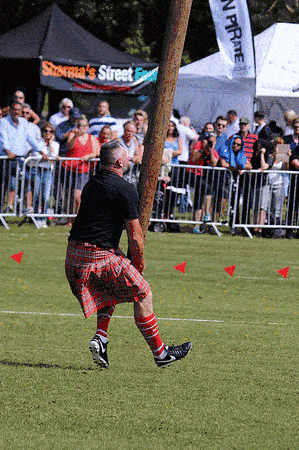 IMG_7963.gif