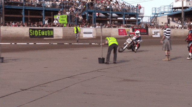 IMG_8113.gif