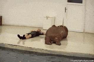 IMG_8311.gif