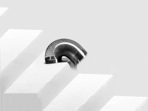 IMG_8402.gif